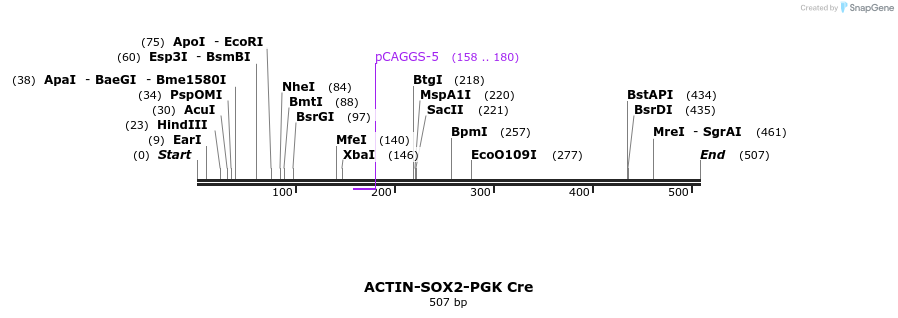 95874_map