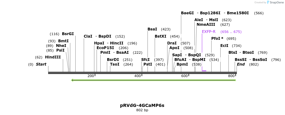 95876_map