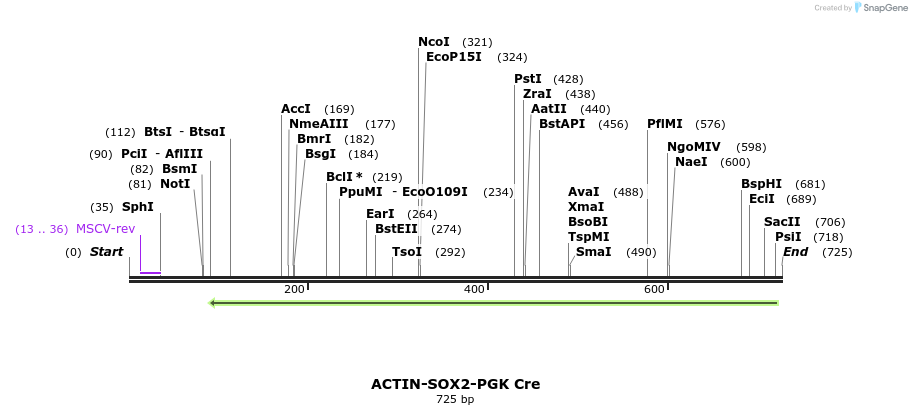 95877_map