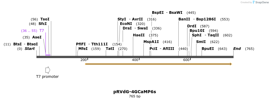 95879_map