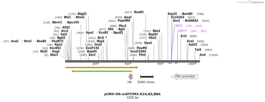 95884_map