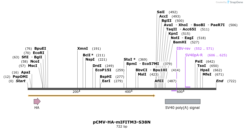 95890_map