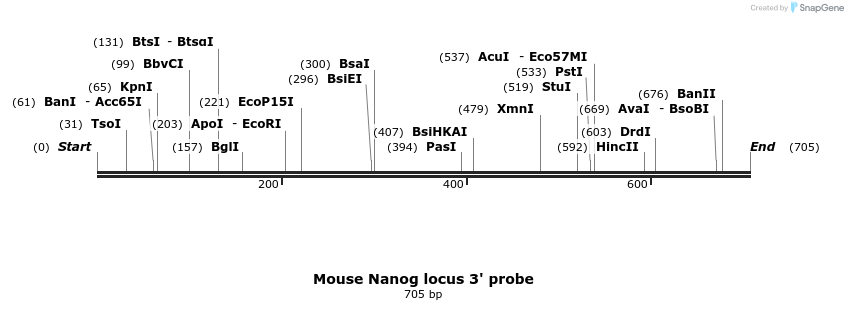 95893_map