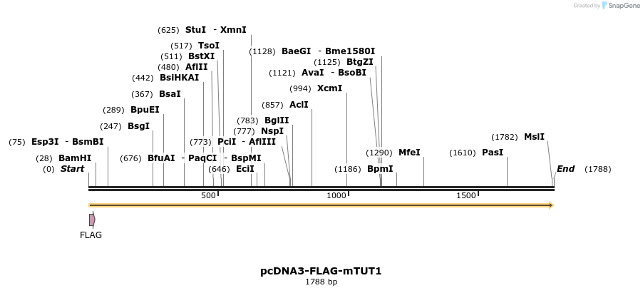 95894_map