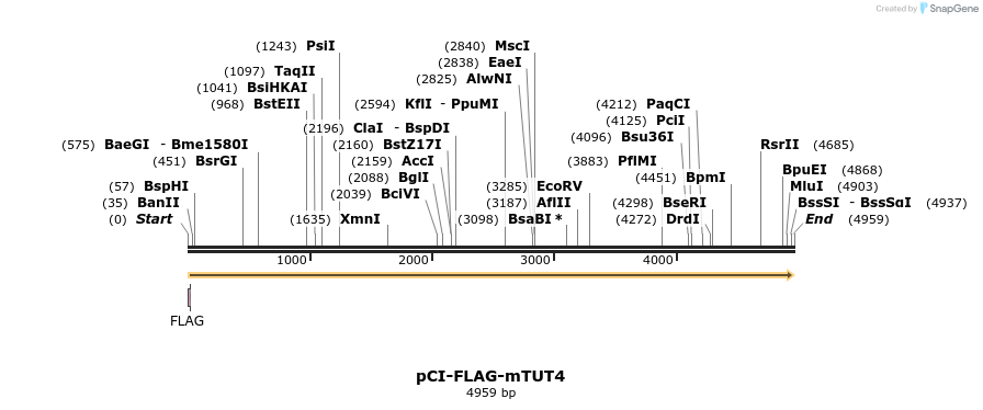 95897_map
