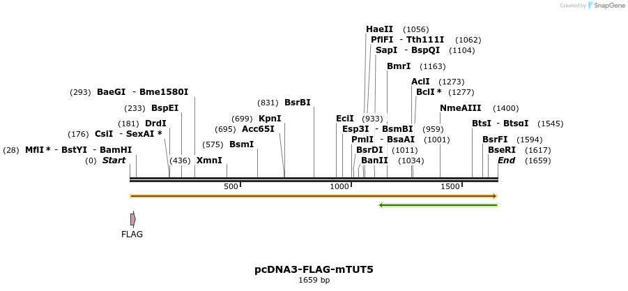 95898_map