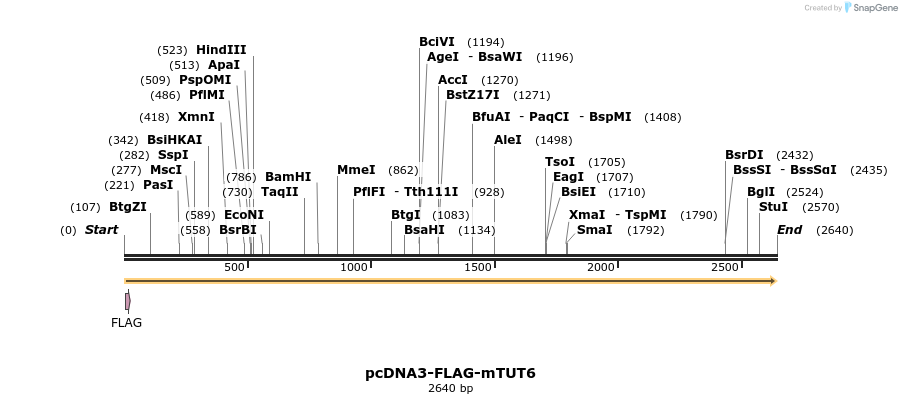 95899_map