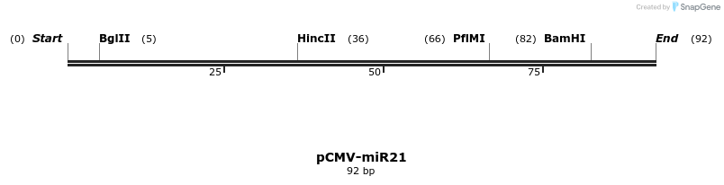 9590_map