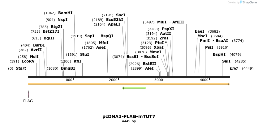 95900_map