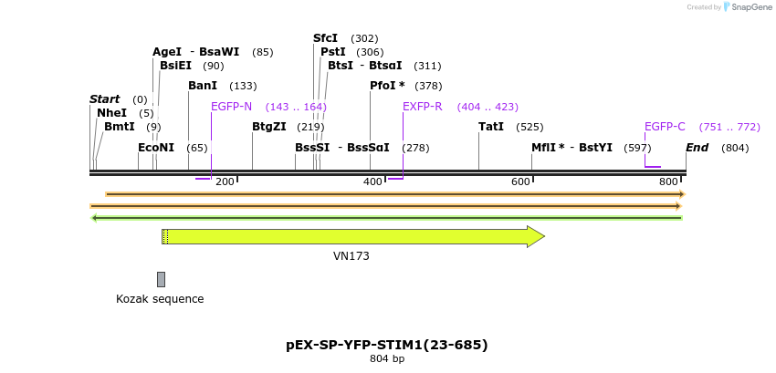 95901_map