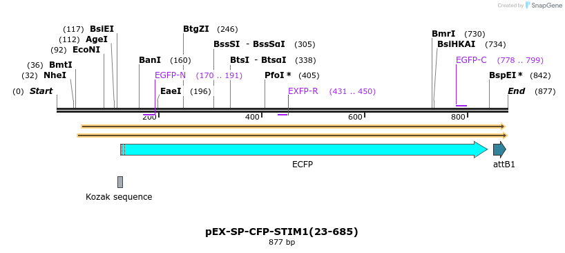 95902_map