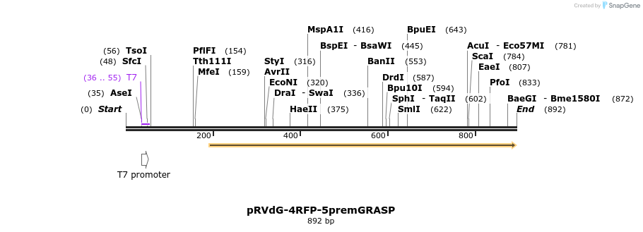 95905_map