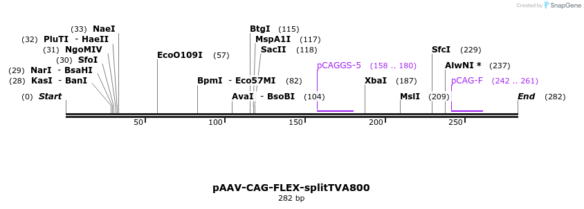 95906_map
