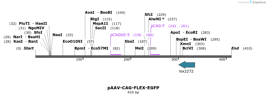 95907_map