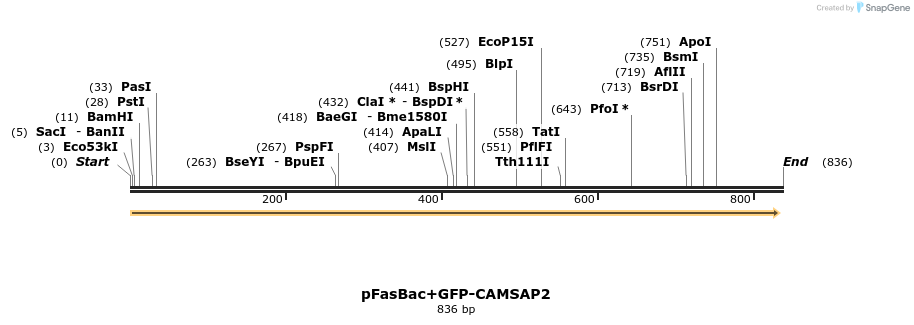 95908_map