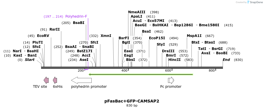 95909_map