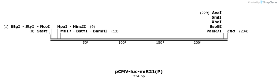 9591_map