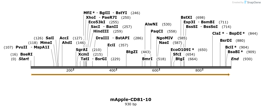 95912_map