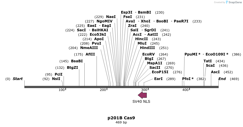 95913_map