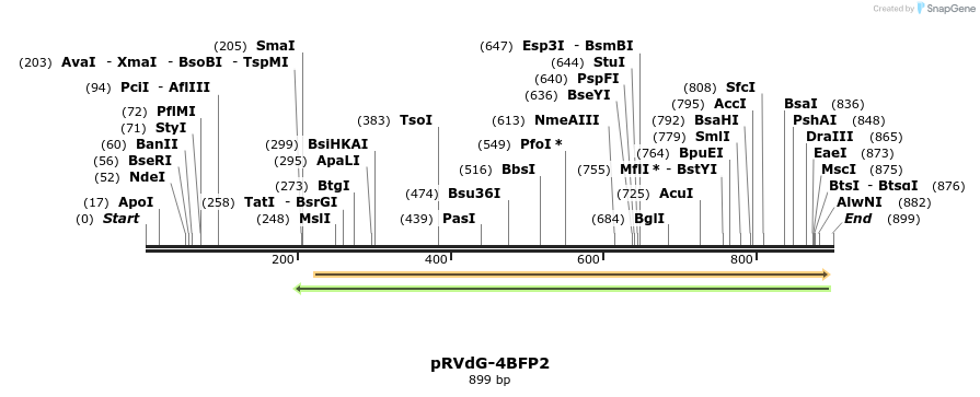 95916_map