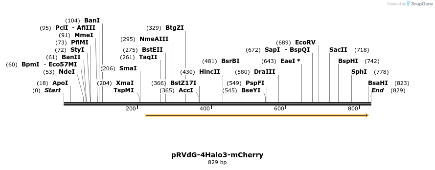 95918_map