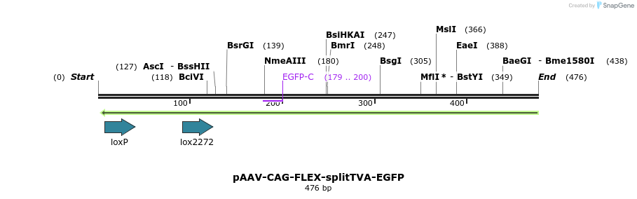 95920_map