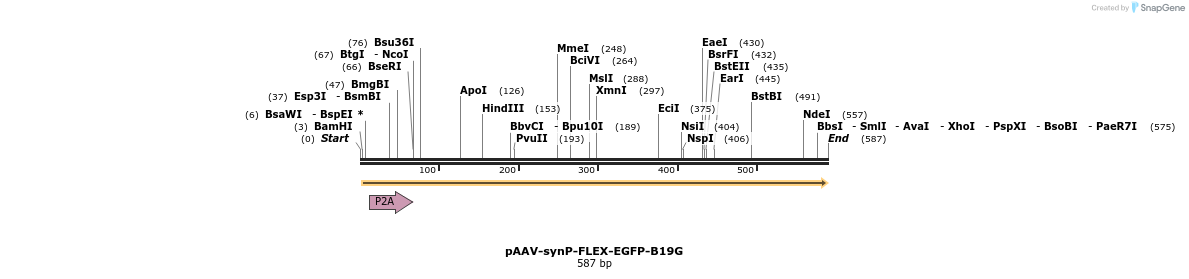95922_map
