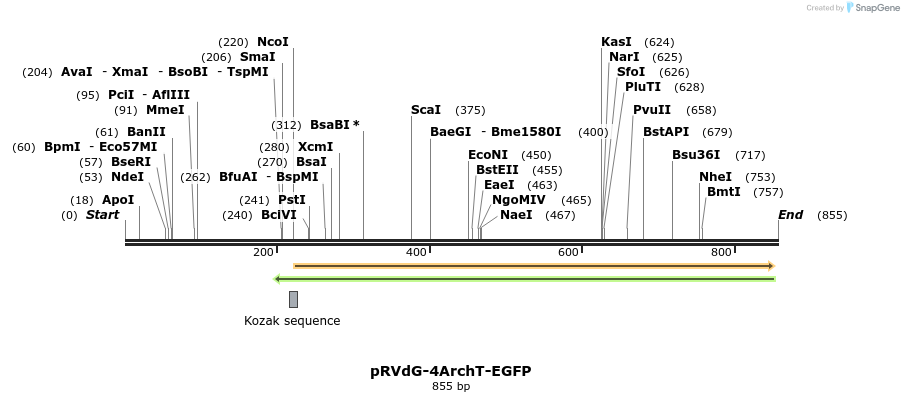 95925_map