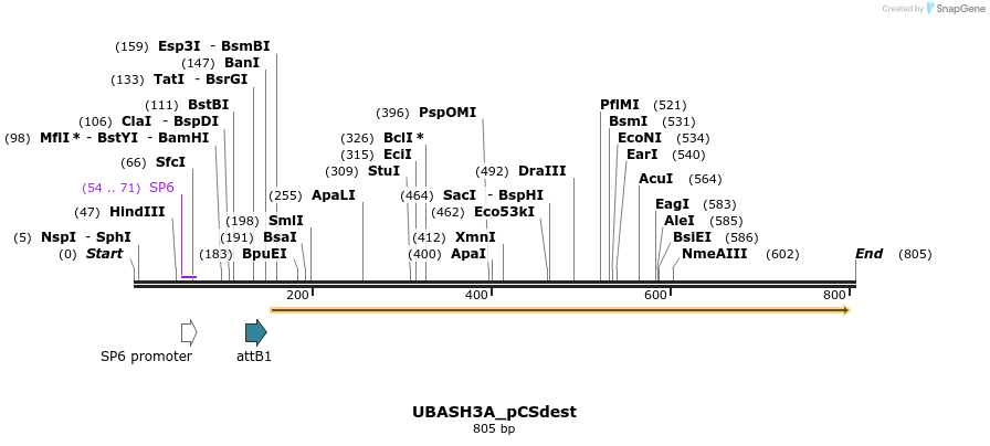 95930_map