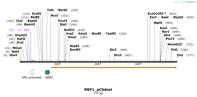 95931_map