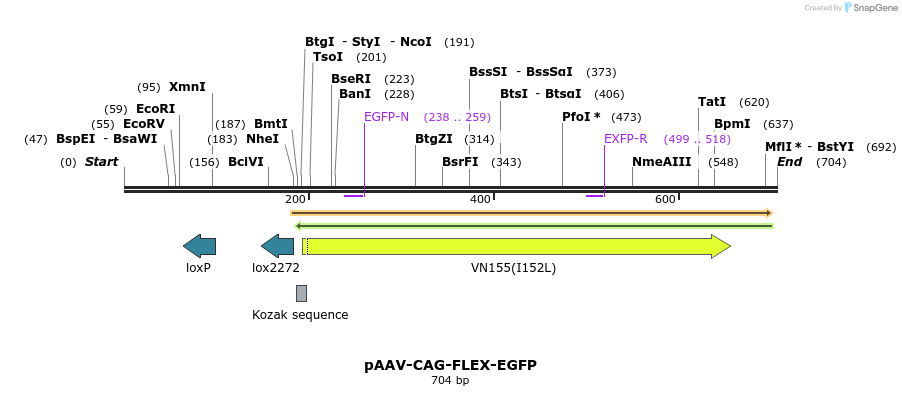 95932_map