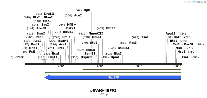 95934_map