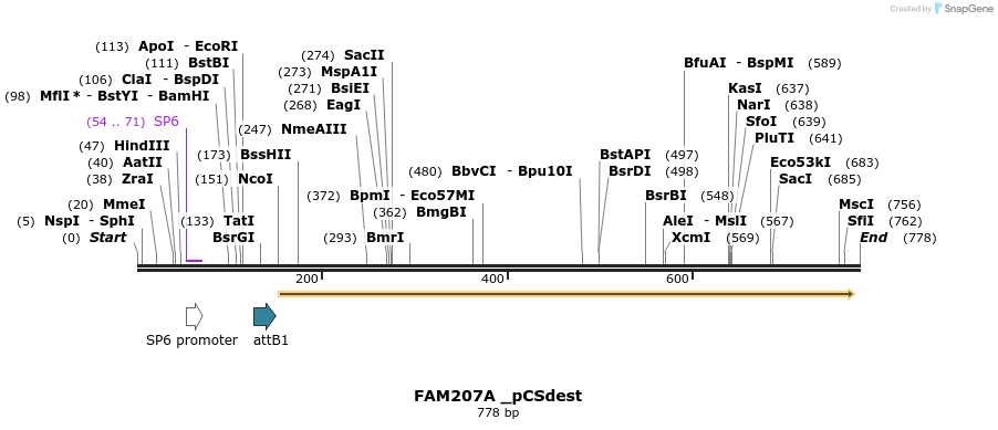 95943_map