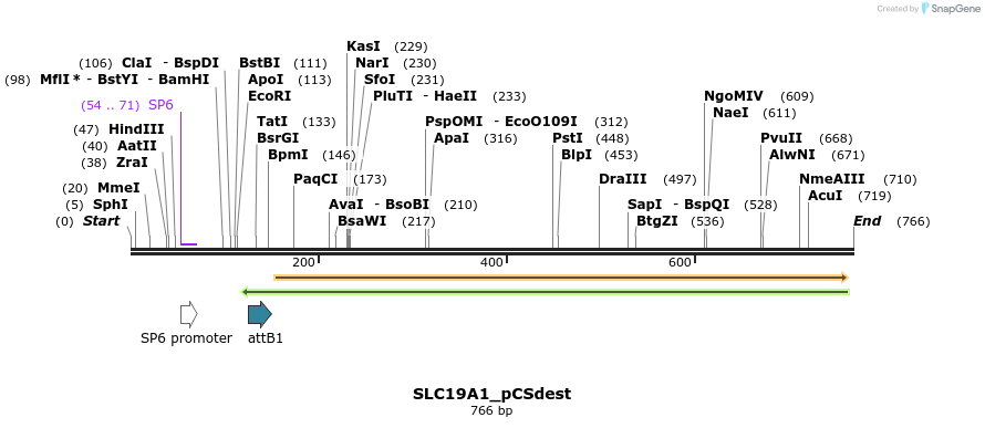 95946_map