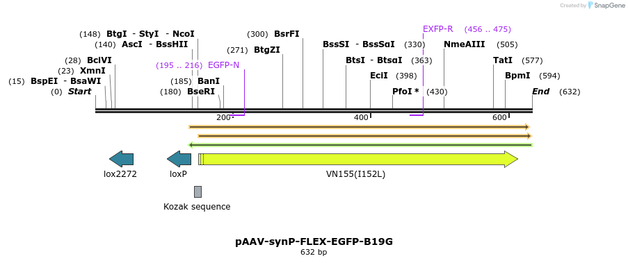 95948_map
