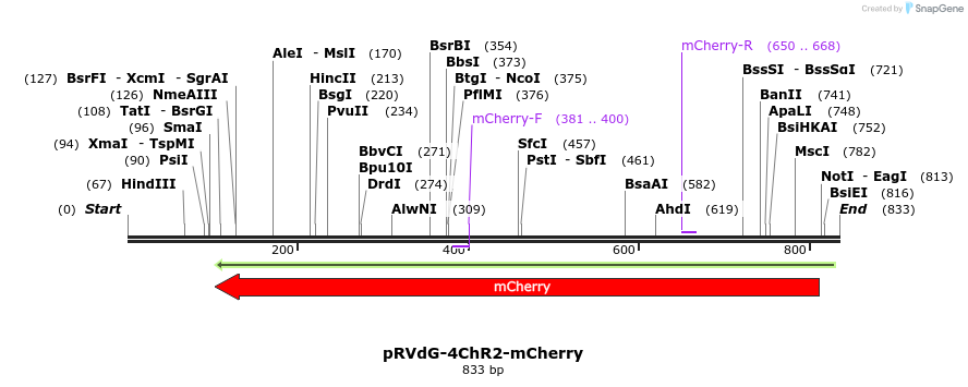 95951_map
