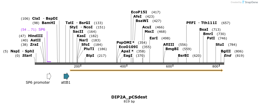 95952_map