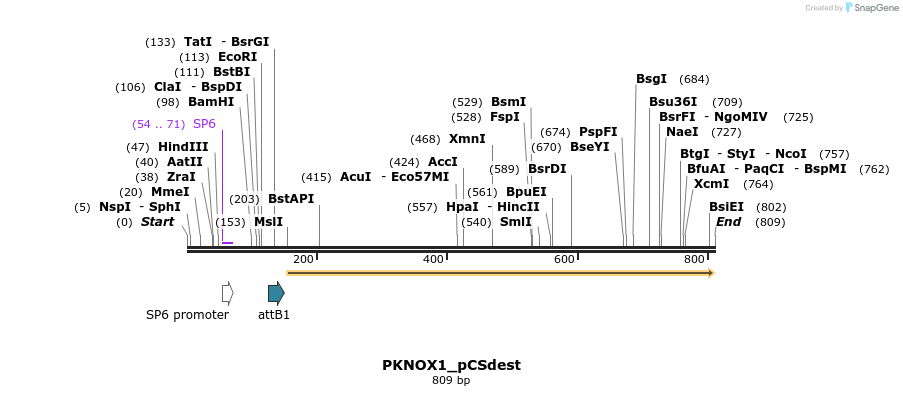 95954_map