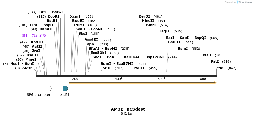 95956_map