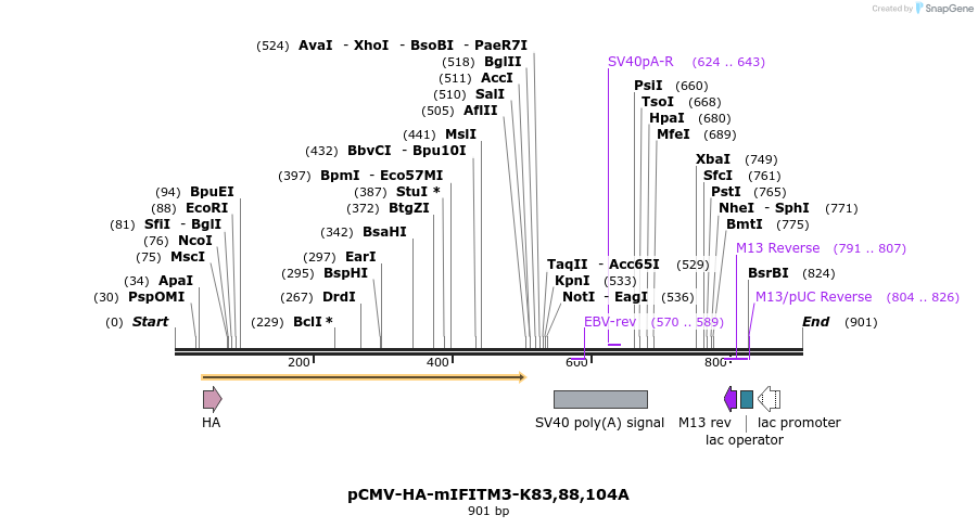 95957_map