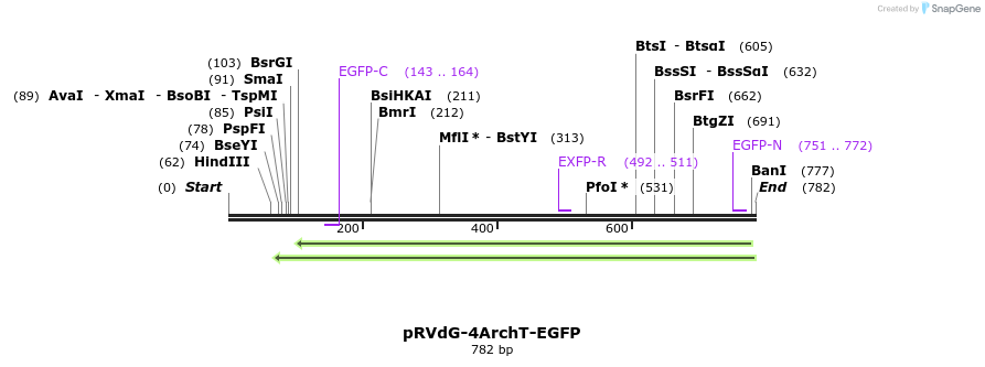 95958_map