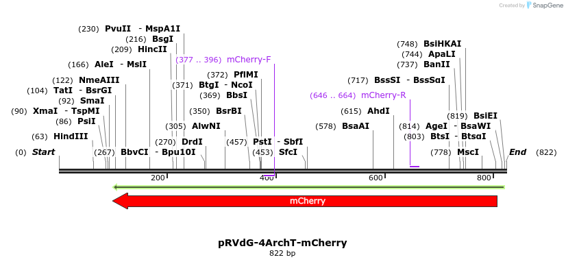 95959_map