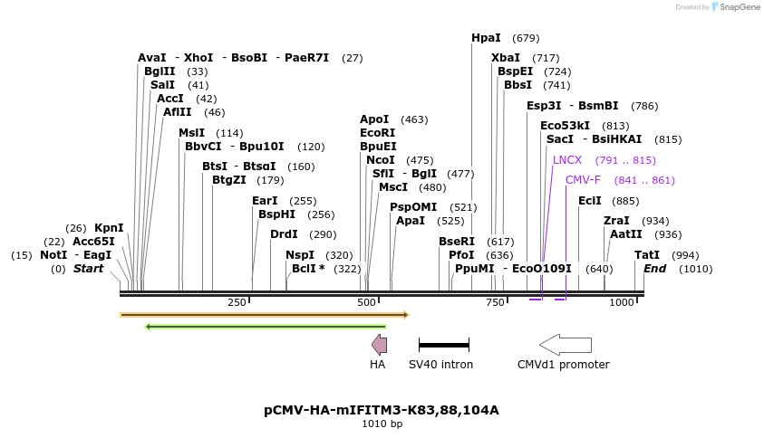 95960_map