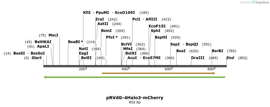 95961_map