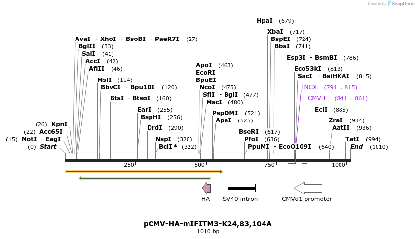95965_map