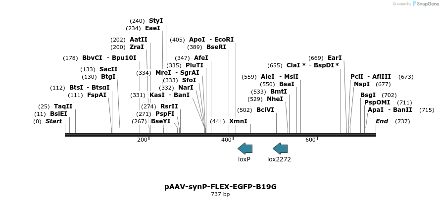 95966_map
