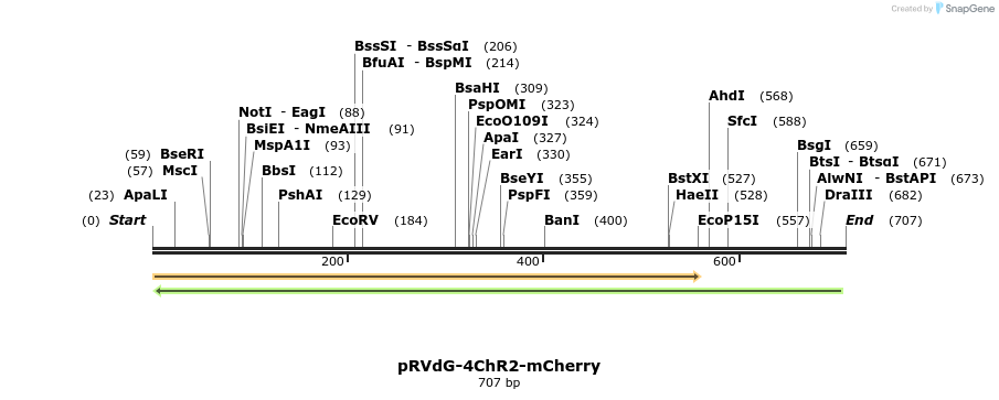 95969_map