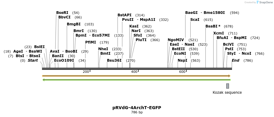 95970_map