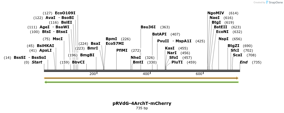 95971_map