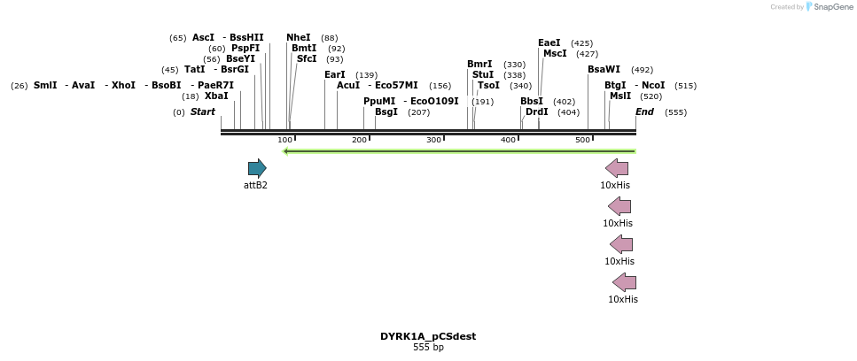 95972_map